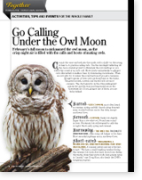 Owl Calling